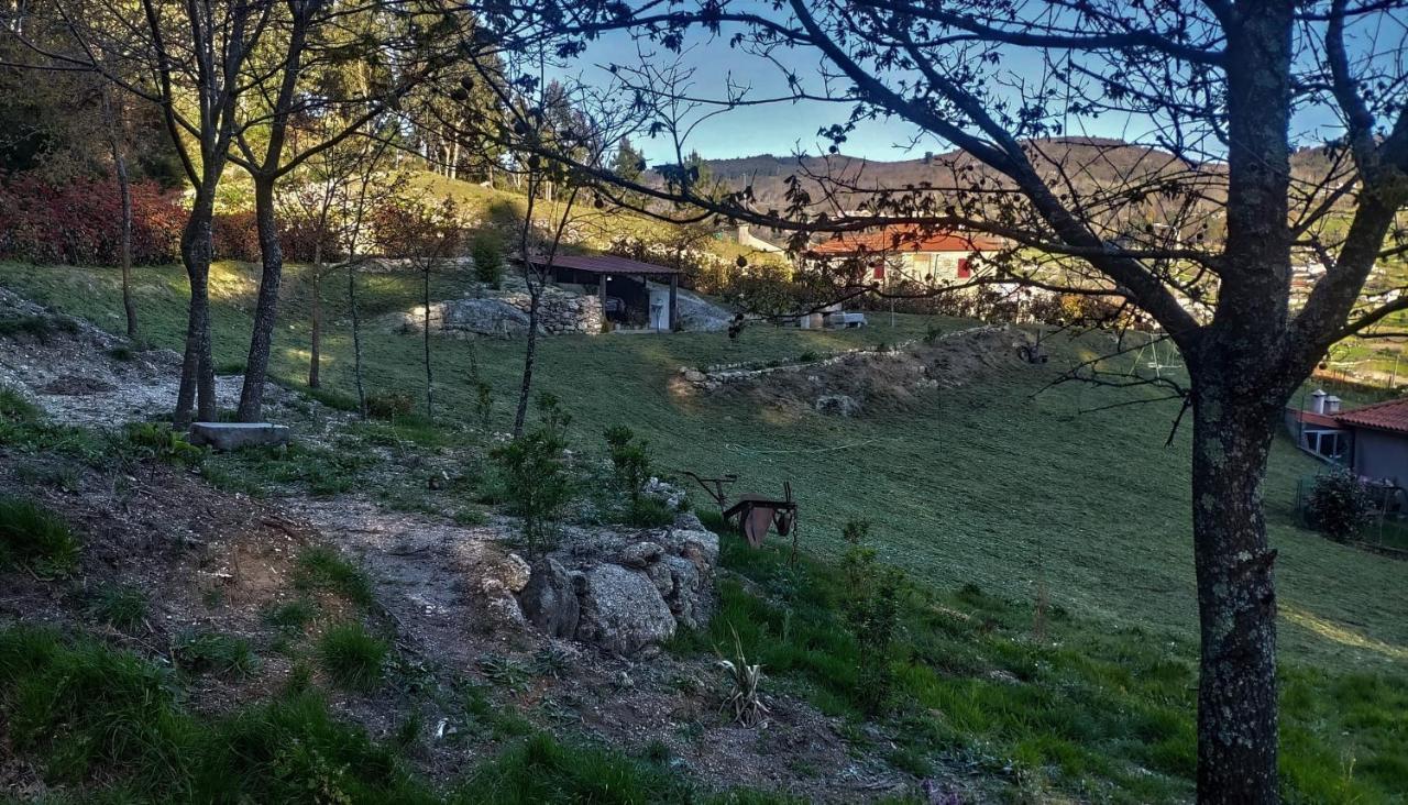 O Aconchego Das Raizes Baião Eksteriør billede